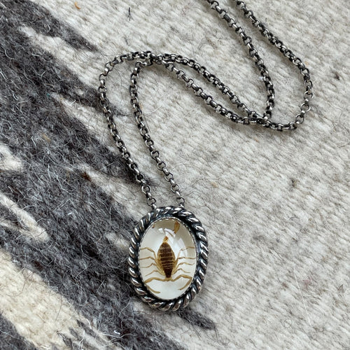 a white back resin scorpion set in all sterling silver with a heavy rope detail finished on an antiqued sterling silver rolo chain